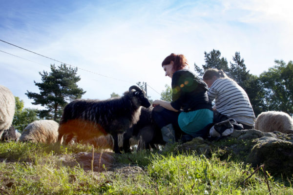 Dyr og mennesker i naturen