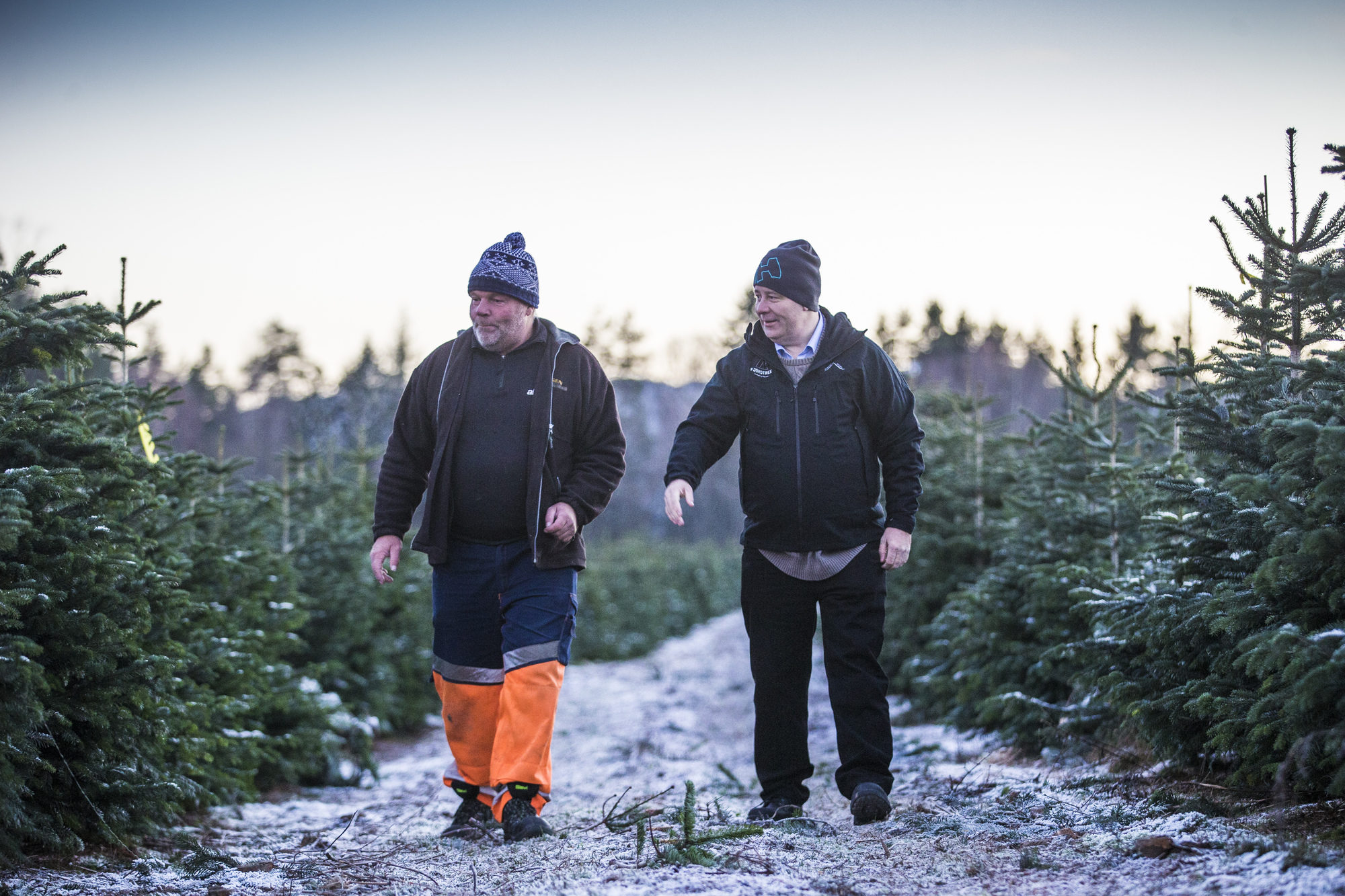 Bård Hoksrud besøker juletreprodusenter