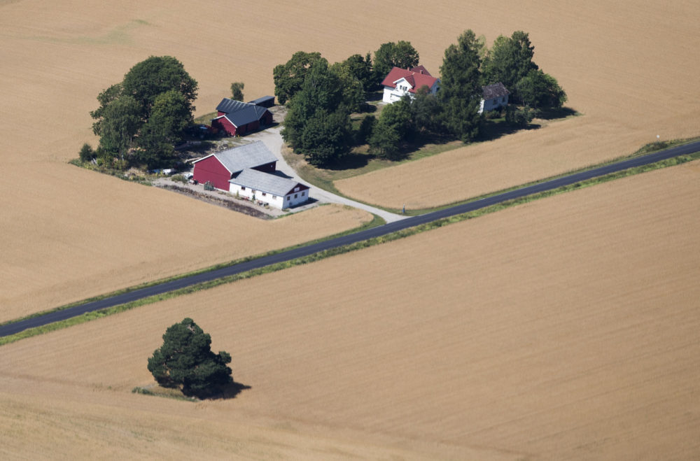 Gårdsbruk