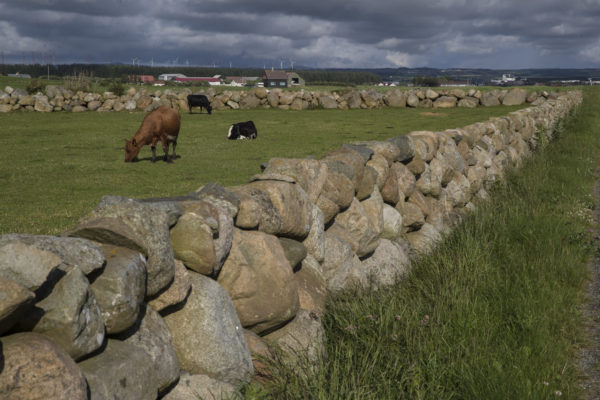 Kulturlandskap på Jæren