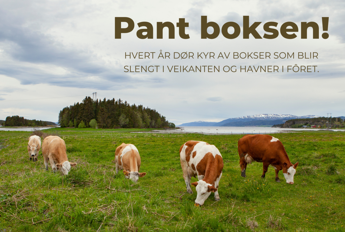 Pant boksen_facebook_bokmål